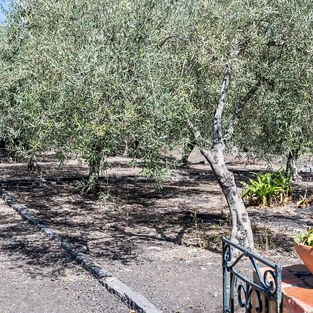 Ninina Nel Cuore Del Parco Dell'etna X10 Trecastagni